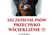 Szczepienie psów - Jazowsko,Kadcza