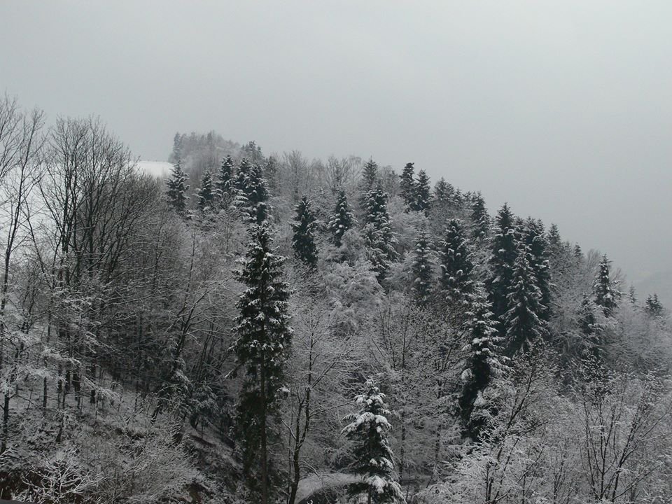 fot.Grzegorz Słowik;"Łazy Brzyńskie zimą"