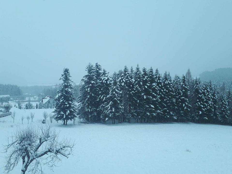 Łazy Brzyńskie zimą