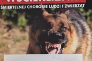 Jak co roku, szczepienie psów w Jazowsku i Kadczy