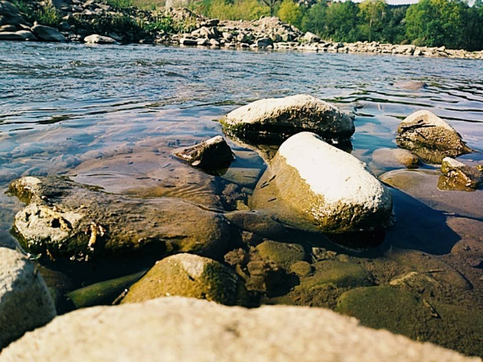 fot.Kinga;"Dunajec"