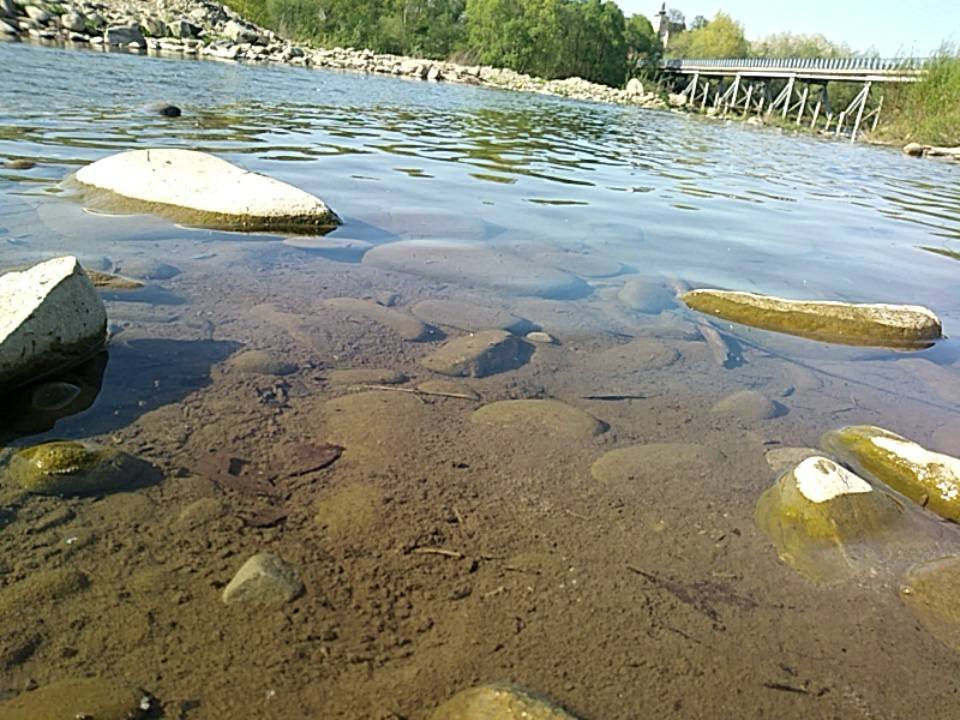 fot.Kinga;"Dunajec"