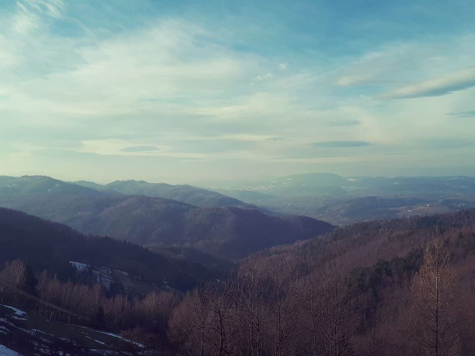 fot.Barbara;"Sopatowiec"