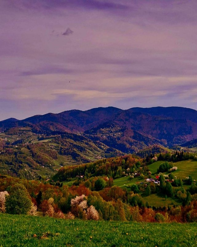 fot.Antek;"Wieczorne marzenia "