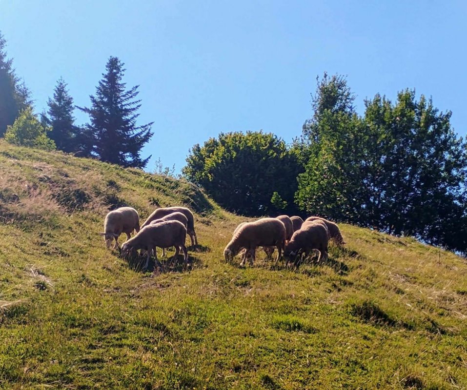 fot.Czytelniczka;"BRZYNA i jej urokliwy pejzaż "