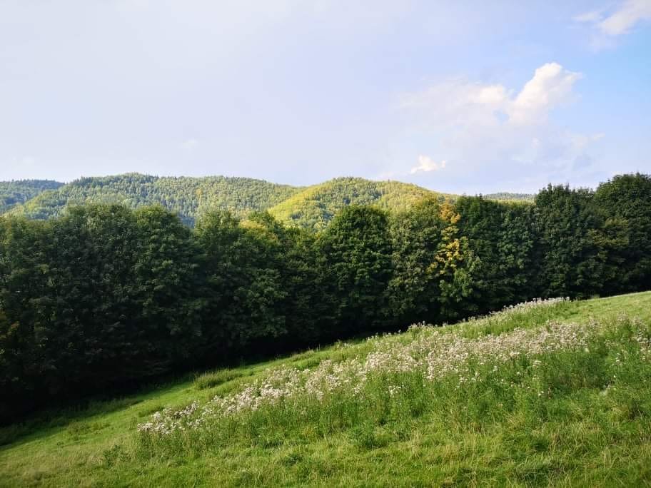 fot.Beata; "Obidza"