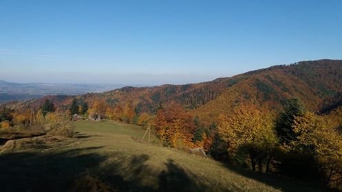 fot.Grzegorz Gromala;"Obidza jesienią"