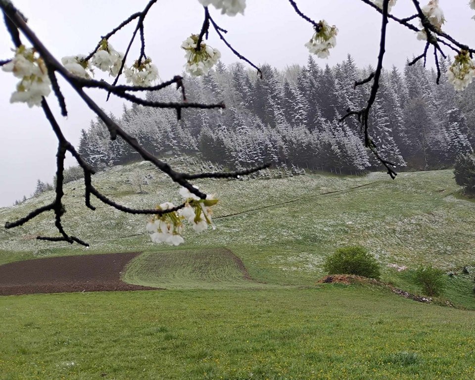 fot.Małgorzata;"Obidza"