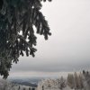 fot.Sabina;