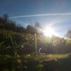 fot.Zuzanna;"Przedwiośnie"