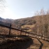 fot.Zuzia;"Wiosennie"