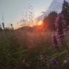 fot.Gabriela;"Wiosenne kwiaty"