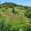fot.Małgorzata;"Widok na Koziarz"