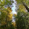 fot.Maria;"Spacer po lasku"