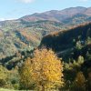 fot.Martyna;"Jesień"