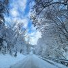 fot.Aneta;"Brzyna"