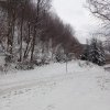 fot.Zuzia;"Zimowa Obidza"