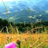fot.Maria;"Słoneczna niedziela na Brzynie"
