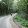 Ścieżka rowerowa