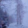 fot.Małgorzata;"Na Brzynie zimowo"