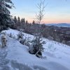 fot.Kaja;"Poranny spacer po Obidzy"