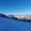 fot.Nitka;"Brzyna"