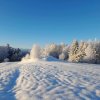 fot.Nitka;"Brzyna"