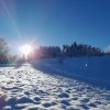 fot.Nitka;"Brzyna"