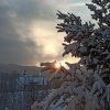 fot.Katarzyna G;"Jazowsko"