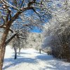 fot.Łucja;"Śnieżna Kadcza"
