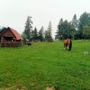 Jaworki-Litmanowa-Wąwóz Homole-Jaworki