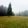Jaworki-Litmanowa-Wąwóz Homole-Jaworki