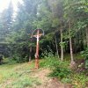 Jaworki-Litmanowa-Wąwóz Homole-Jaworki