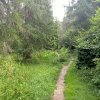 Jaworki-Litmanowa-Wąwóz Homole-Jaworki