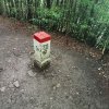 Jaworki-Litmanowa-Wąwóz Homole-Jaworki