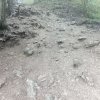 Jaworki-Litmanowa-Wąwóz Homole-Jaworki