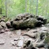 Jaworki-Litmanowa-Wąwóz Homole-Jaworki