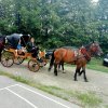 Festyn Zakończenie Wakacji