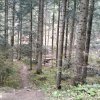 Przehyba-Szlachtowa