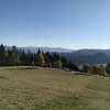Piwniczna Zdrój-Kicarz-Jaworki