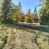 Piwniczna Zdrój-Kicarz-Jaworki