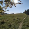 Piwniczna Zdrój-Kicarz-Jaworki