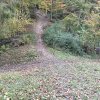 Piwniczna Zdrój-Kicarz-Jaworki