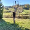 Piwniczna Zdrój-Kicarz-Jaworki