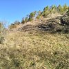 Piwniczna Zdrój-Kicarz-Jaworki