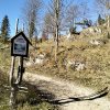 Piwniczna Zdrój-Kicarz-Jaworki
