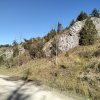 Piwniczna Zdrój-Kicarz-Jaworki