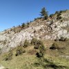 Piwniczna Zdrój-Kicarz-Jaworki