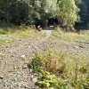 Lipnica Wielka-Babia Góra-Lipnica Wielka