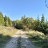 Lipnica Wielka-Babia Góra-Lipnica Wielka